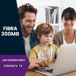 Fibra 300