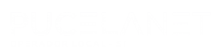logo pucelanet blanco